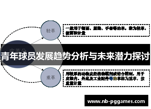 青年球员发展趋势分析与未来潜力探讨