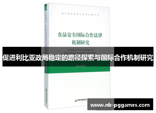 促进利比亚政局稳定的路径探索与国际合作机制研究