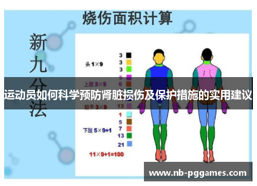 运动员如何科学预防肾脏损伤及保护措施的实用建议